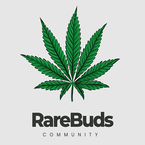 RareBuds Community